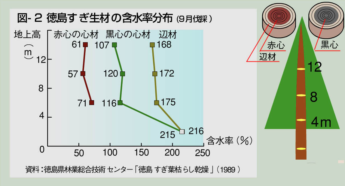 図2 徳島すぎの生材の含水率分布