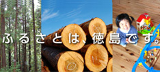 徳島木の家づくり協会